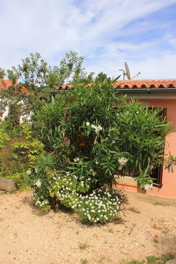 Apartments With A Parking Space Veli Losinj, Losinj - 8029 Exterior photo